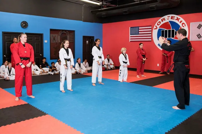 Vortexic Martial Arts Picture 7