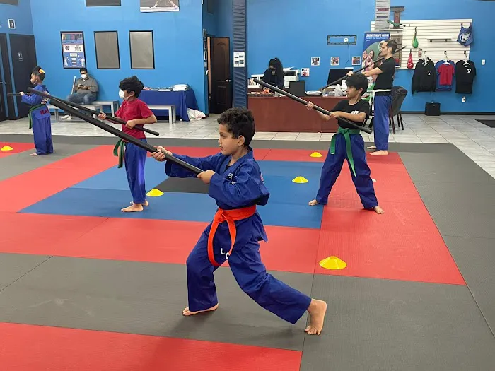 Vortexic Martial Arts Picture 9