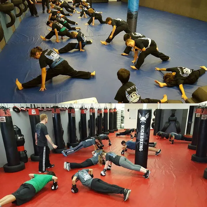 Texas Krav Maga Katy Self Defense Academy Picture 5