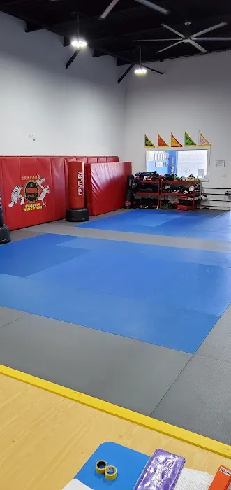 Meng's Martial Arts of Katy Picture 2