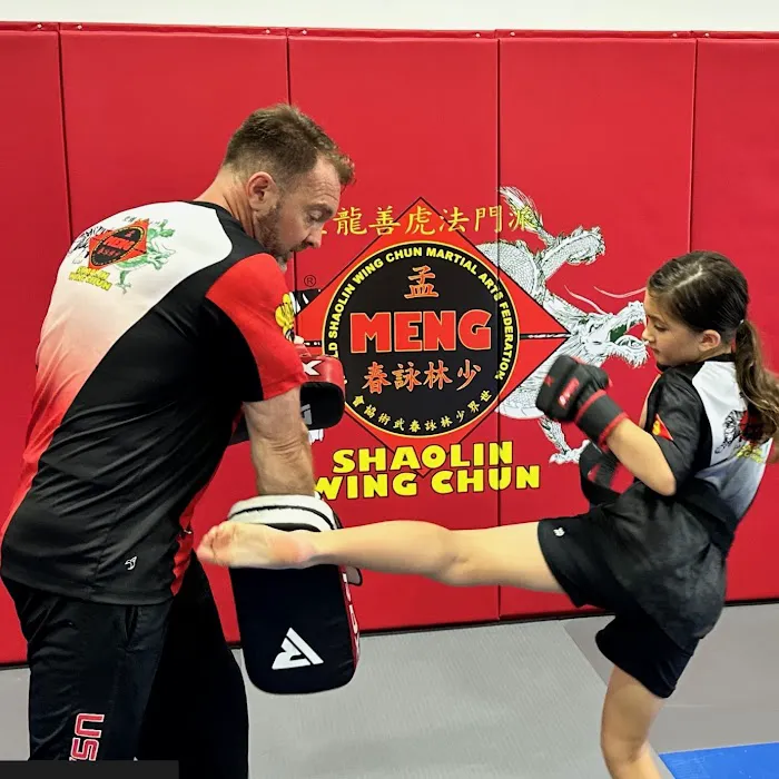 Meng's Martial Arts of Katy Picture 6