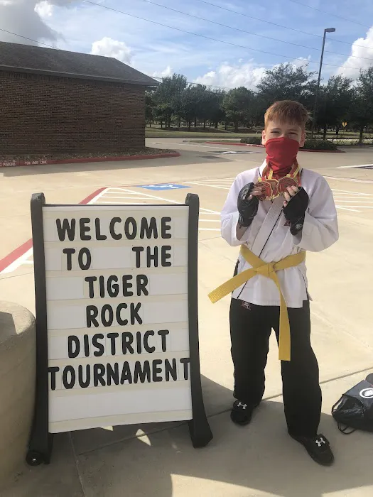 Tiger Rock Martial Arts of Katy South Picture 1
