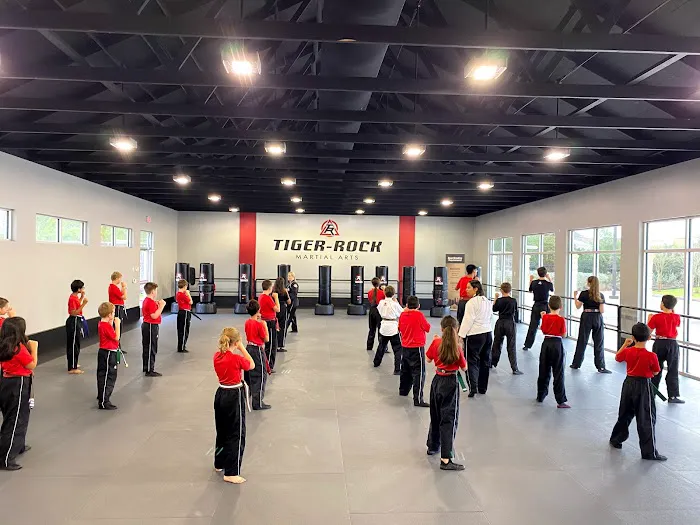 Tiger Rock Martial Arts of Katy South Picture 10