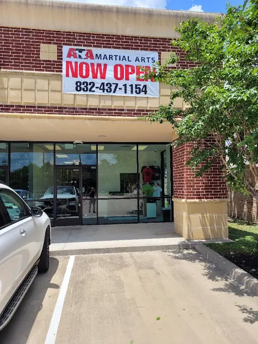 Katy ATA Martial Arts Picture 4