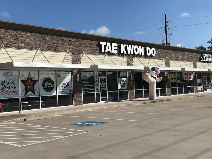BLACK DRAGON TAEKWONDO | KATY CHILD CARE CENTER Picture 2
