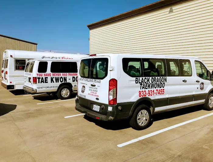 BLACK DRAGON TAEKWONDO | KATY CHILD CARE CENTER Picture 9