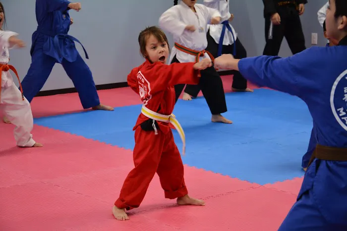 Nexus Martial Arts Picture 3