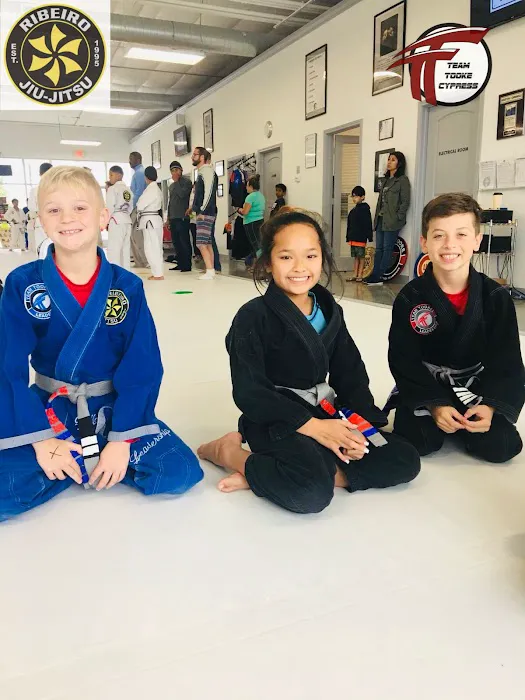 Team Tooke Martial Arts Academy - Cypress Picture 4
