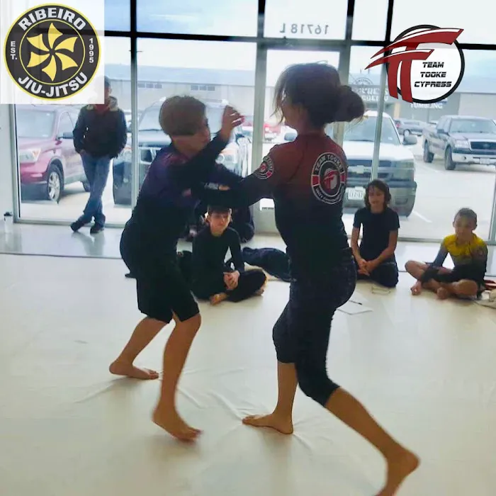 Team Tooke Martial Arts Academy - Cypress Picture 5