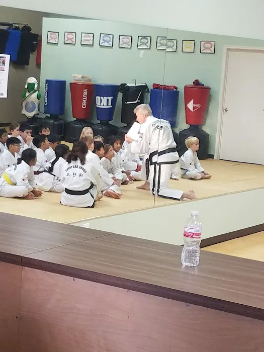Young Brothers Taekwondo Picture 1