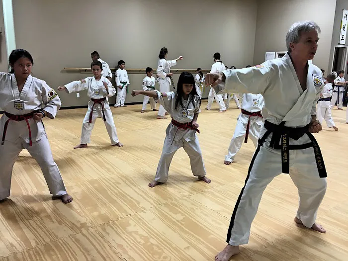 Young Brothers Taekwondo Picture 2