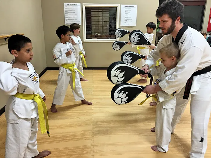 Young Brothers Taekwondo Picture 7