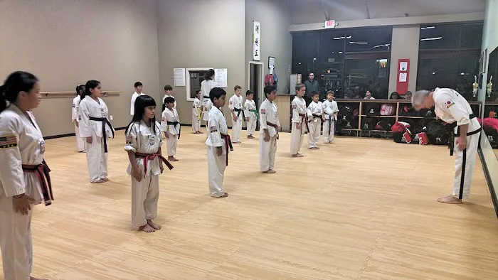 Young Brothers Taekwondo Picture 8