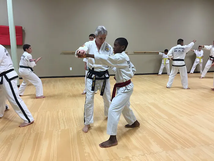 Young Brothers Taekwondo Picture 4