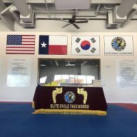 Elite Eagle Taekwondo (Cypress) ico
