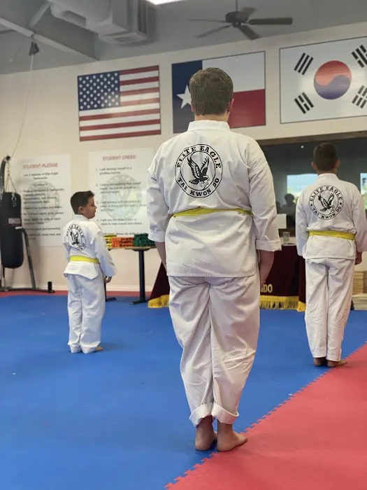 Elite Eagle Taekwondo (Cypress) Picture 3