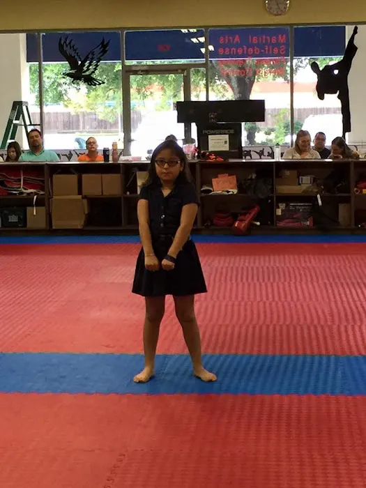 Elite Eagle Taekwondo (Cypress) Picture 7