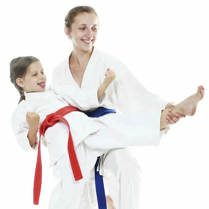 Golden Eagle Taekwondo Picture 6