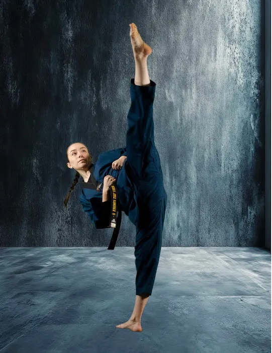 Golden Eagle Taekwondo Picture 2