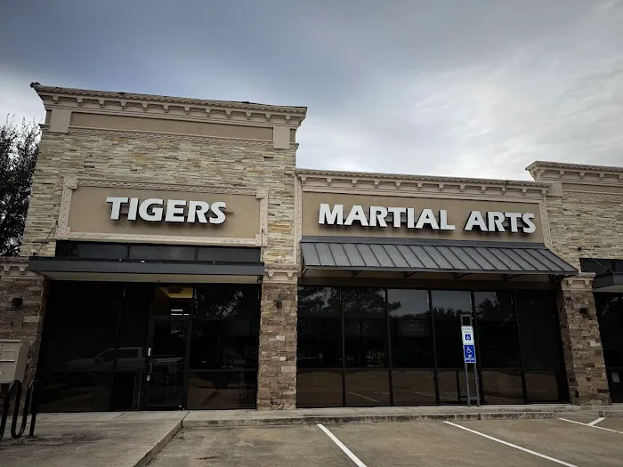 Parks Taekwondo Federation - Cinco Ranch Picture 1