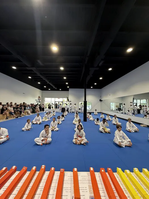 Parks Taekwondo Federation - Cinco Ranch Picture 5