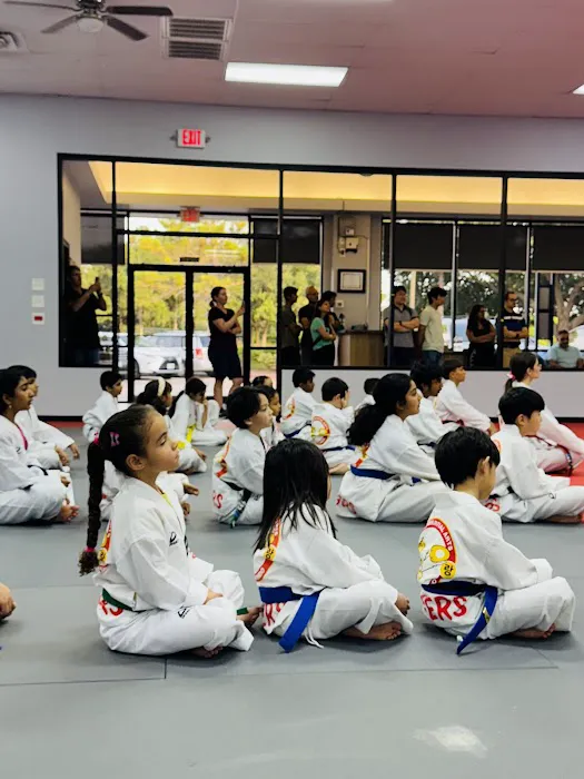 Parks Taekwondo Federation - Cinco Ranch Picture 3