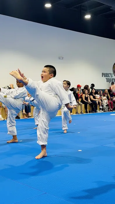Parks Taekwondo Federation - Cinco Ranch Picture 6