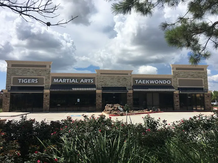 Parks Taekwondo Federation - Cinco Ranch Picture 4
