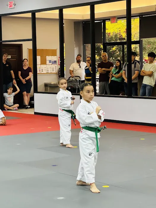 Parks Taekwondo Federation - Cinco Ranch Picture 9