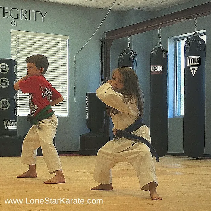 Lone Star Karate & Self Defense Picture 9