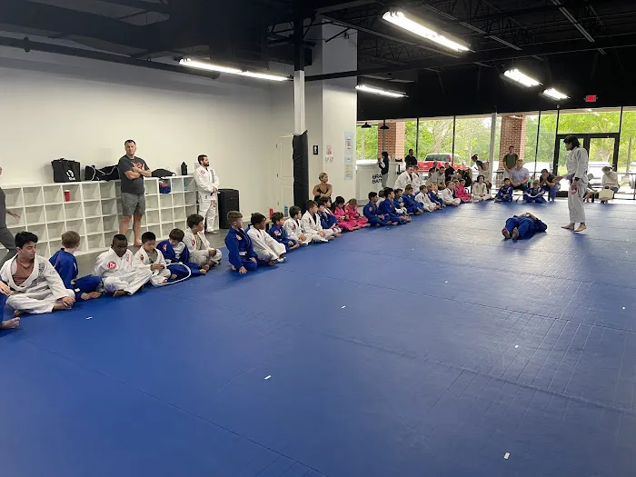 Gracie Barra Research Forest Picture 6