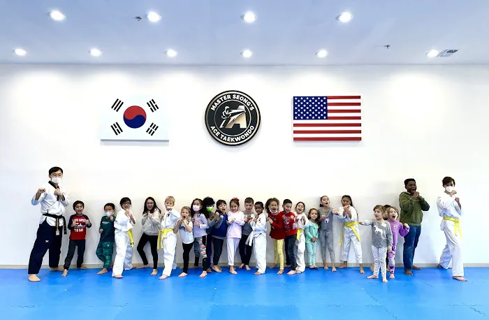 ACE Taekwondo - The Woodlands Picture 1