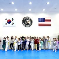 ACE Taekwondo - The Woodlands ico