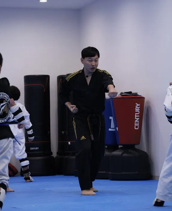 ACE Taekwondo - The Woodlands Picture 4