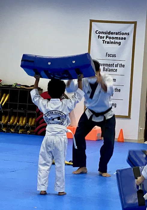 ACE Taekwondo - The Woodlands Picture 5