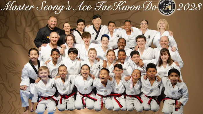 ACE Taekwondo - The Woodlands Picture 7