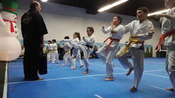 Karate Of The Woodlands Picture 1