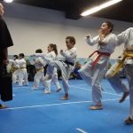 Karate Of The Woodlands