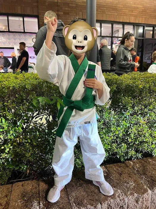 The Woodlands Martial Arts Academy Picture 7