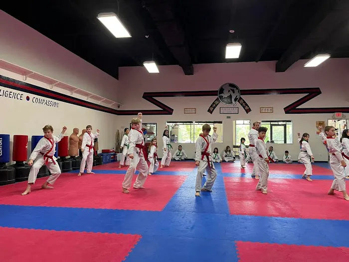 The Woodlands Martial Arts Academy Picture 6