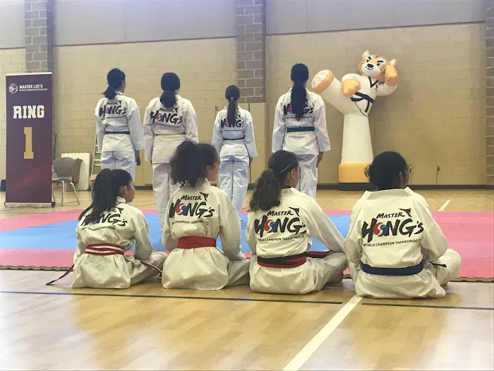 Master Hong's World Champion Taekwondo Picture 4