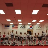 Master Hong's World Champion Taekwondo ico