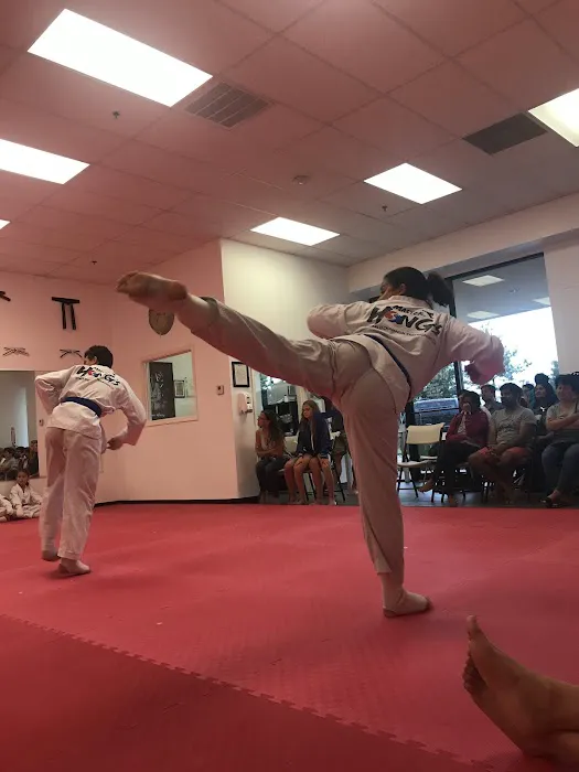 Master Hong's World Champion Taekwondo Picture 5