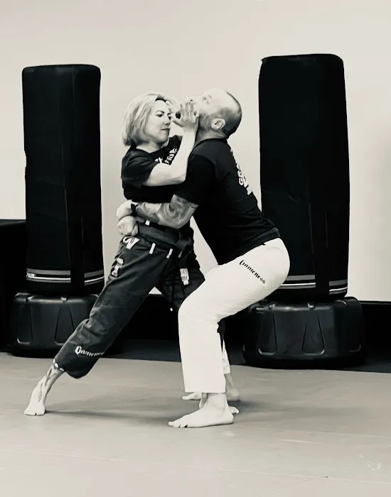 Azul School of Martial Arts Picture 1