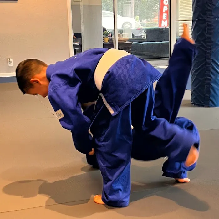 Azul School of Martial Arts Picture 6