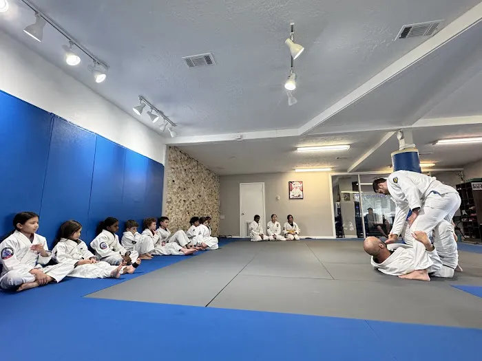 Azul School of Martial Arts Picture 10