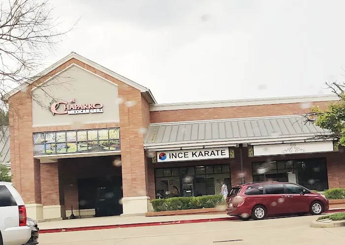 Ince Karate Picture 1