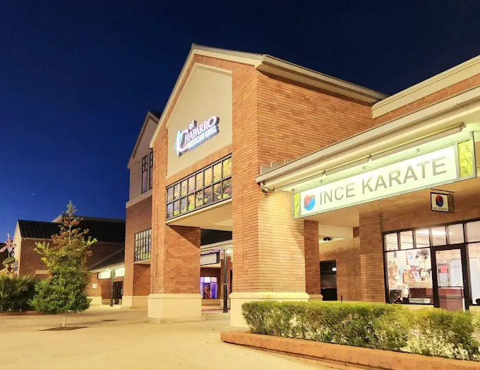 Ince Karate Picture 3