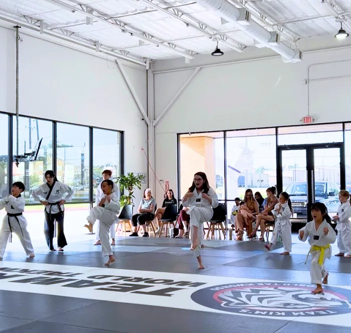 Team Kim's World Taekwondo Picture 7