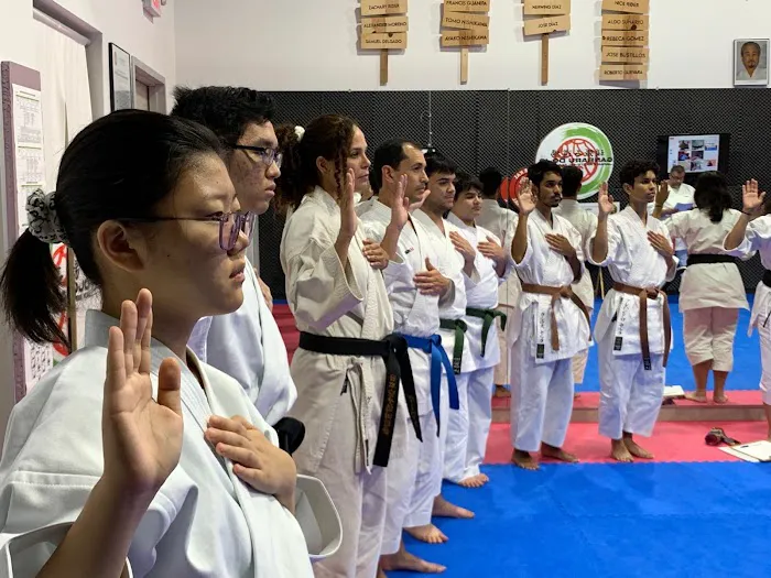 Ganshin Dojo Shotokan Karate Do Picture 3